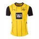 Thailande Maillot Dortmund Domicile 2024/2025