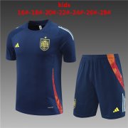 Maillot Espagne Entrainement Id3132C 2024/2025